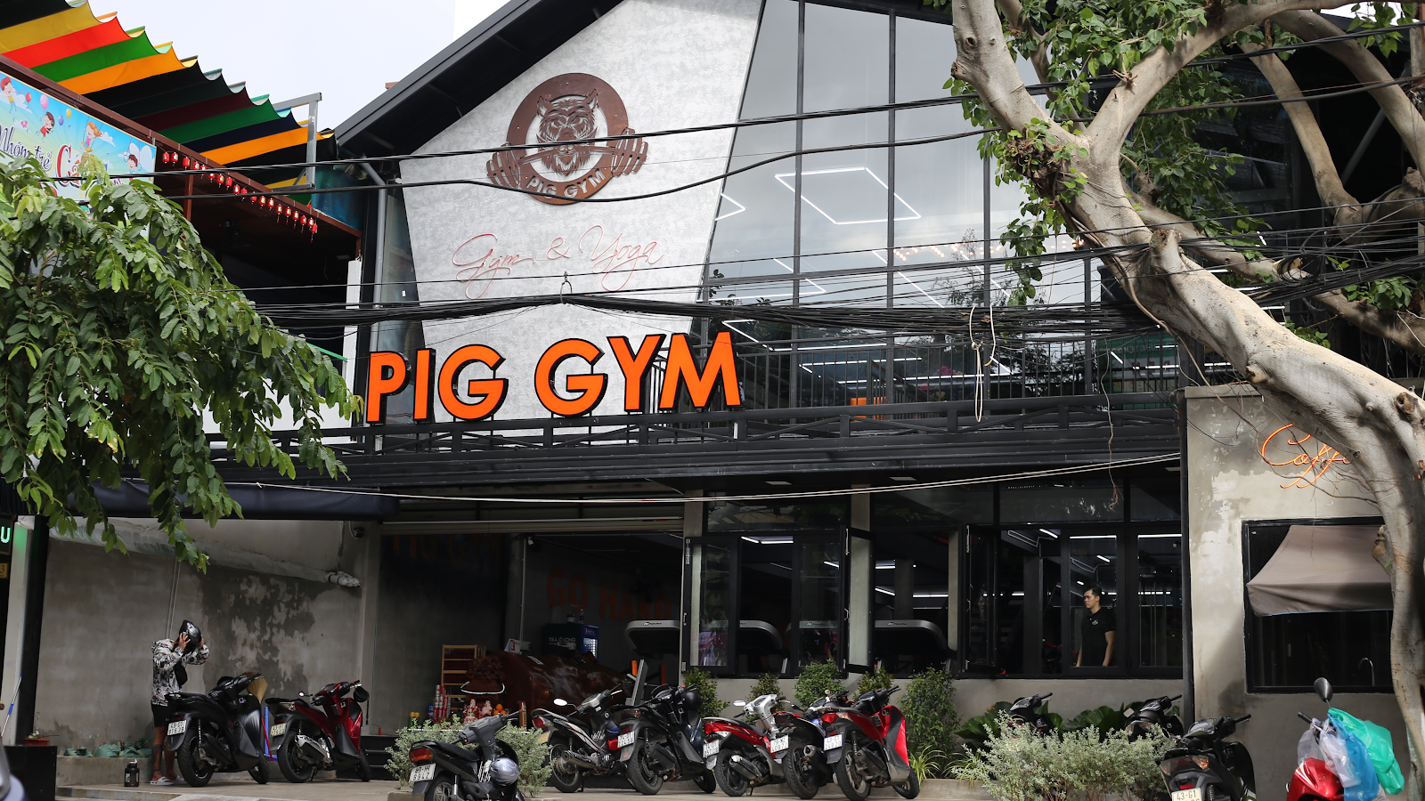 PIG GYM CS 2