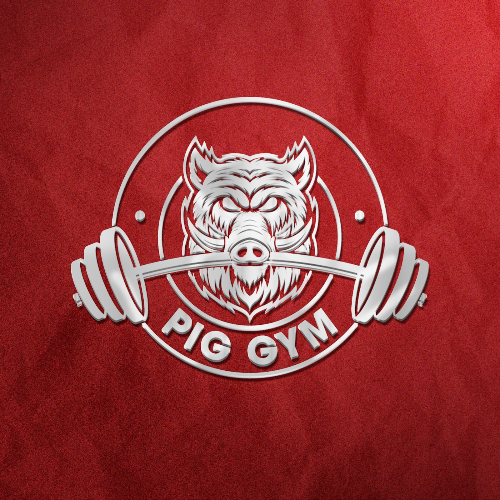 Tập luyện tại PIG GYM CS 2